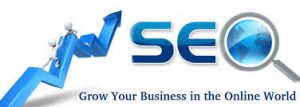 Seo-services-in-Ottawa-300x107 Seo services in Ottawa